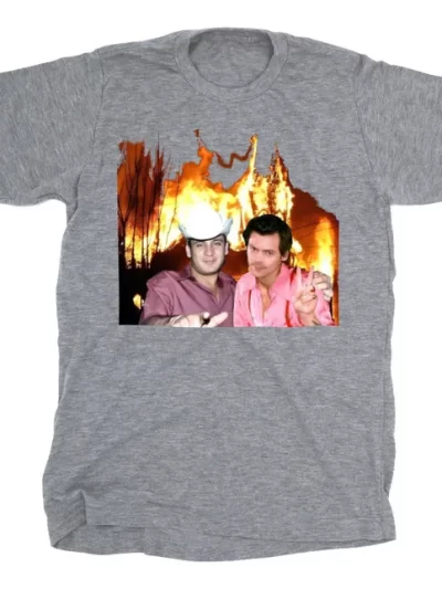 Remera Infantil Harry Styles Y Gallo De Oro Valentin Hell