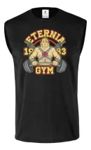 Remera Sin Manga Gym Gimnasio Eternia He Man